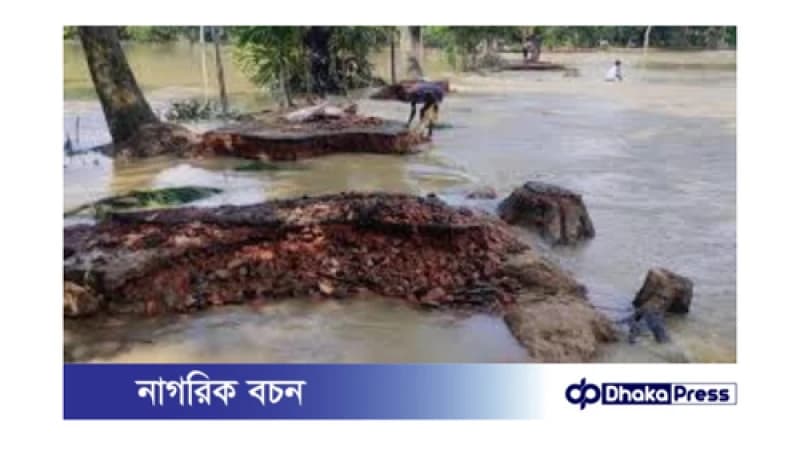 কুমিল্লায় বন্যার বিধ্বংস: নিঃস্ব মানুষের কান্না