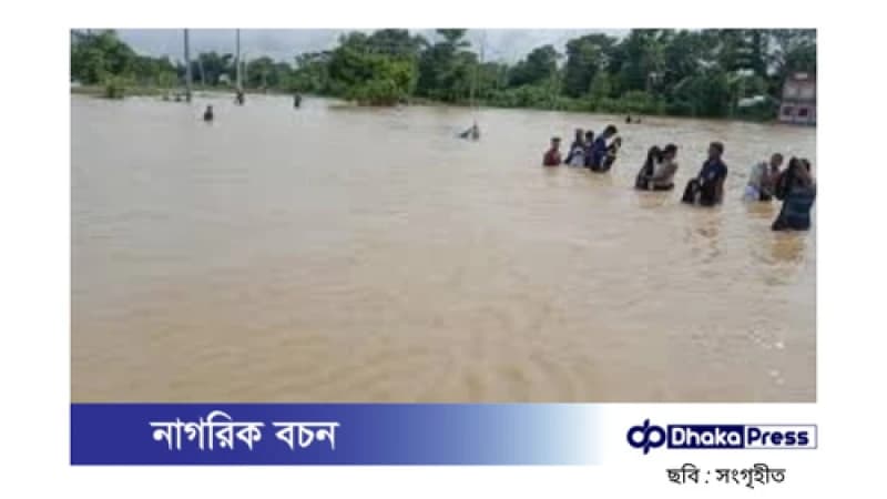 বন্যায় কুমিল্লার মৎস্য খাতে বিপুল ক্ষতি: চাষিরা বিপাকে