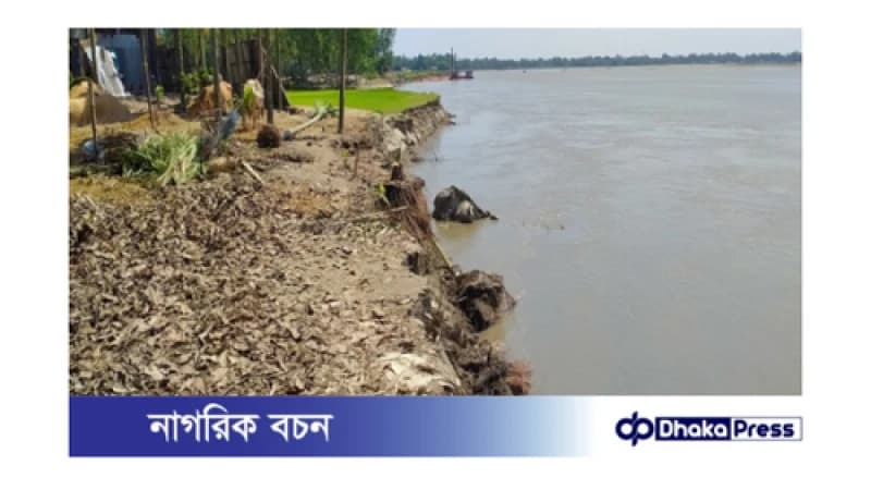 পানি কমার সাথে বাড়ছে ধরলার ভাঙন; বিলীন মসজিদ, বসতভিটা, আবাদি জমি