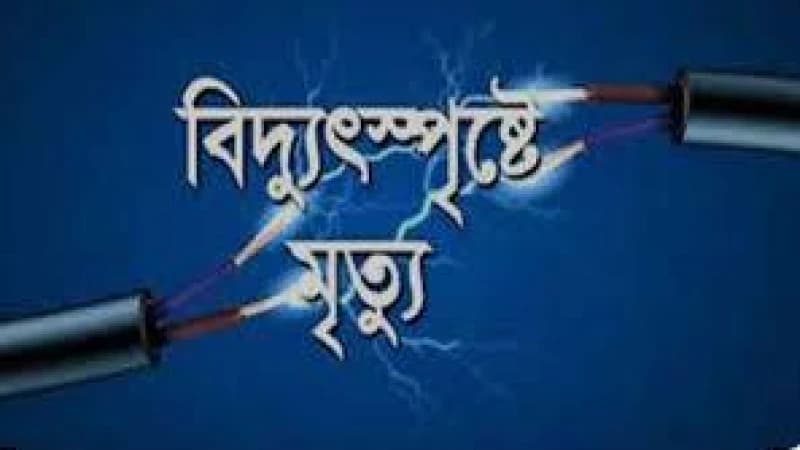 বিদ্যুৎস্পৃষ্টে স্বামী-স্ত্রীর মৃত্যু: একটি মর্মান্তিক ঘটনা