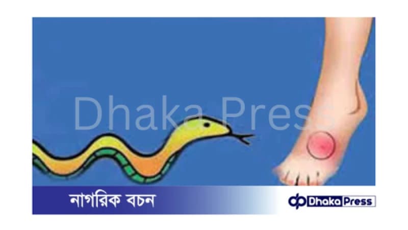 সাপের কামড়ে পুজোর ফুল তুলে আসা গৃহবধূর মৃত্যু