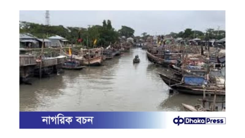 চাঁদপুরে ইলিশ সংরক্ষণে কঠোর ব্যবস্থা