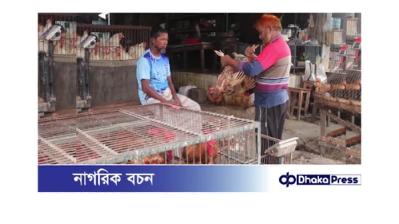 নওগাঁয় বেড়েছে মুরগির দাম