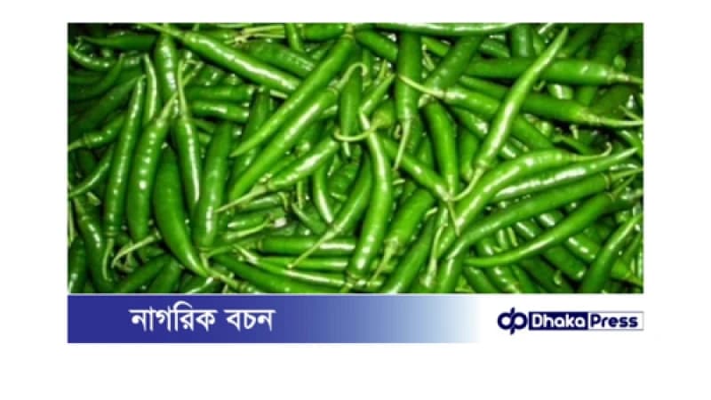 ভারত থেকে বেনাপোল বন্দর দিয়ে ৫৯৩ টন কাঁচামরিচ আমদানি