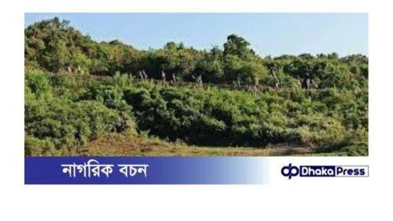 টেকনাফে অস্ত্রের মুখে ৩ শ্রমিক অপহৃত