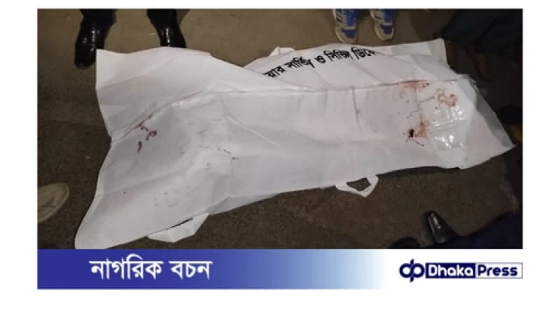 সাতক্ষীরার বিনেরপোতায় পরিবহনের চাকায় পিষ্ট হয়ে আলম সাধু চালক নিহত