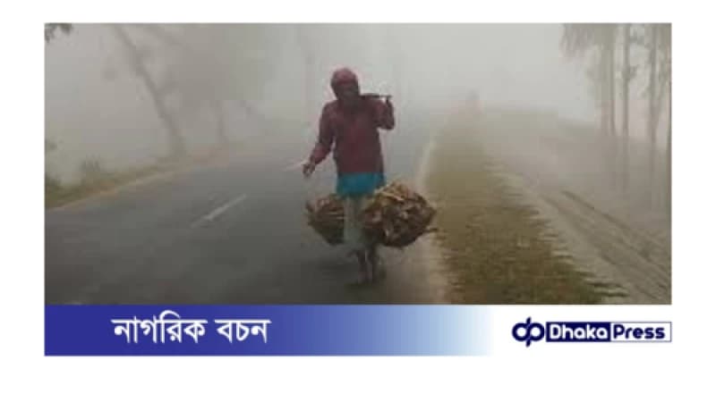 শীতে কাঁপছে পঞ্চগড়, তাপমাত্রা নেমে ৭ ডিগ্রির ঘরে