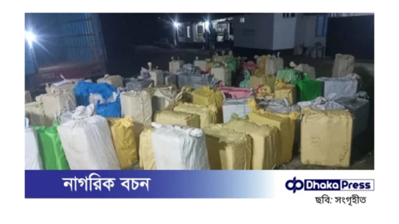 নরসিংদীতে ২ কোটি টাকার ভারতীয় পণ্য জব্দ, গ্রেপ্তার ১