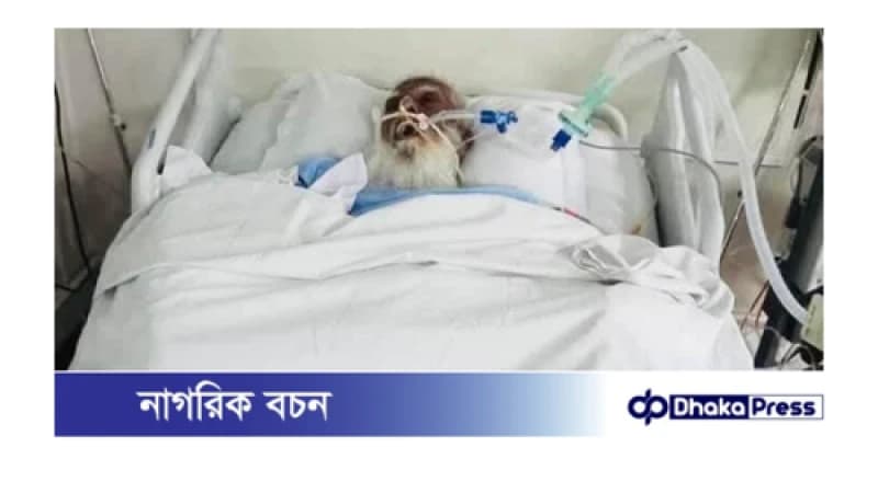 নরসিংদীর প্রবীণ রাজনীতিবিদ সুলতান উদ্দিন মোল্লা আর বেঁচে নেই