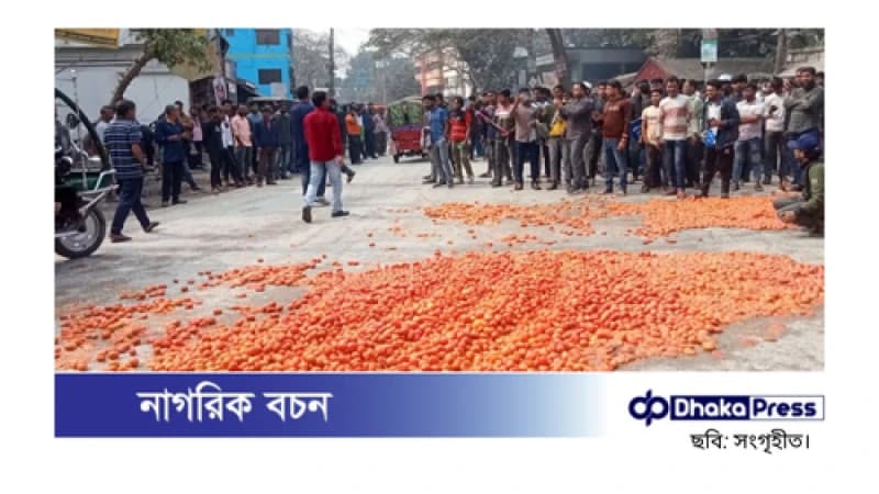 টমেটো ফেলে মহাসড়ক অবরোধ, ভ্যাট প্রত্যাহারের দাবি কৃষকদের