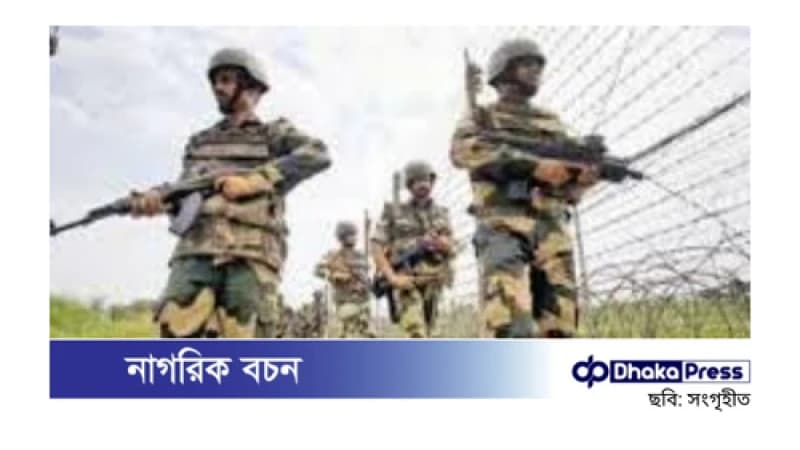 নওগাঁর সাপাহার সীমান্তে গরু আনতে গিয়ে বিএসএফ-এর হাতে আটক বাংলাদেশি