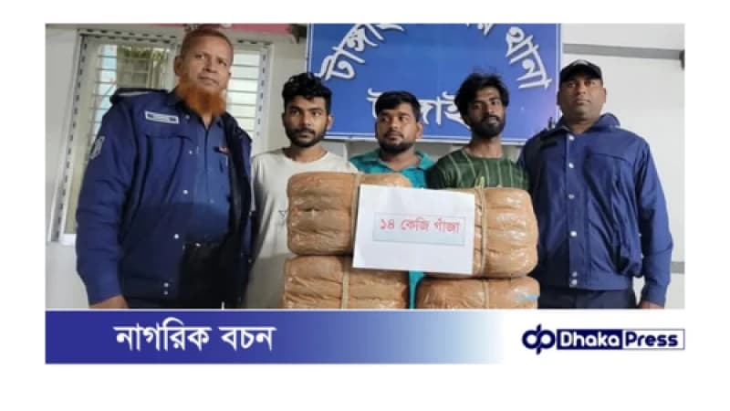 টাঙ্গাইলে ১৪ কেজি গাঁজা উদ্ধার, আটক ৩