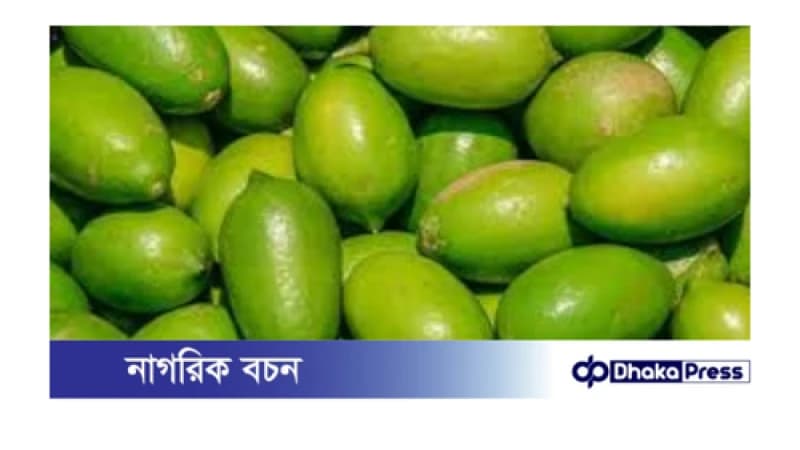 লেবুর হালি ২০০ টাকা: রোজার শুরুতেই বাজারে অস্বাভাবিক মূল্যবৃদ্ধি
