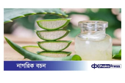 অ্যালোভেরা ব্যবহার করার আগে জানুন এর পার্শ্বপ্রতিক্রিয়া