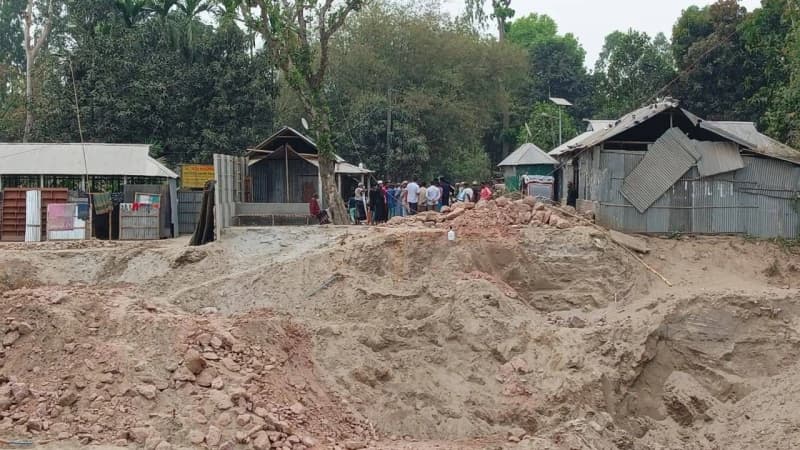 নিলাম ছাড়াই সরকারি গাছ কাটার অভিযোগ