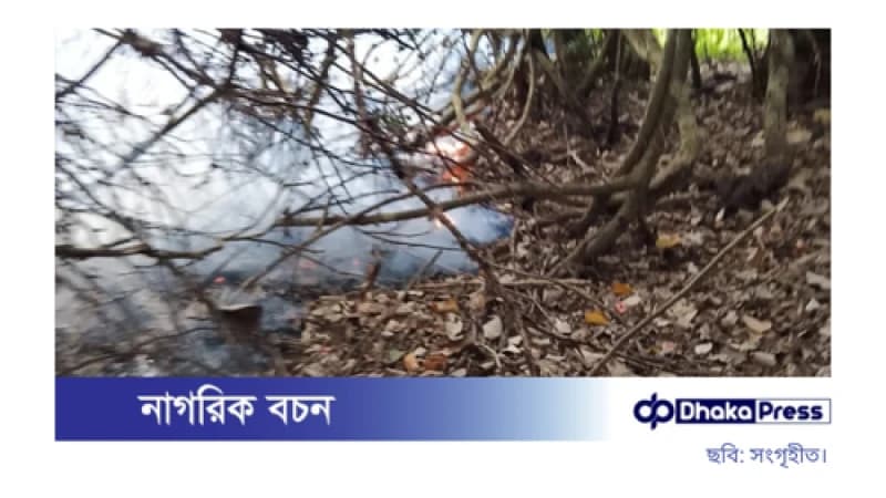 সুন্দরবনে নতুন এলাকায় আগুন, ধোঁয়ার কুণ্ডলী