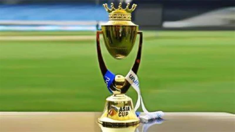 এশিয়া কাপের প্রস্তুতি পাকিস্তানকে ছাড়াই