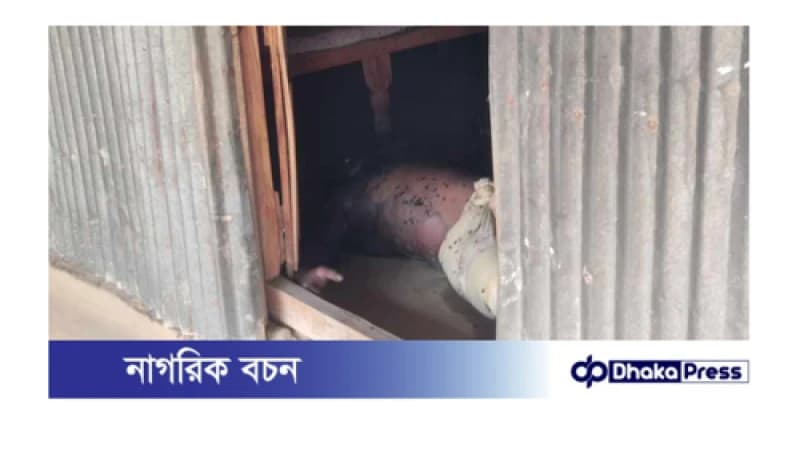 বড়াইগ্রামে ওর্য়াড যুবদল নেতার অর্ধ গলিত লাশ উদ্ধার।