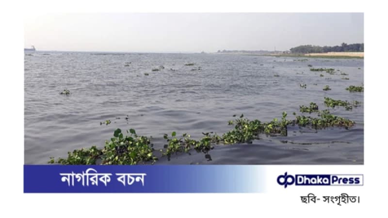 গজারিয়ায় মেঘনা নদী থেকে নিখোঁজ নৌযান শ্রমিকের মরদেহ উদ্ধার