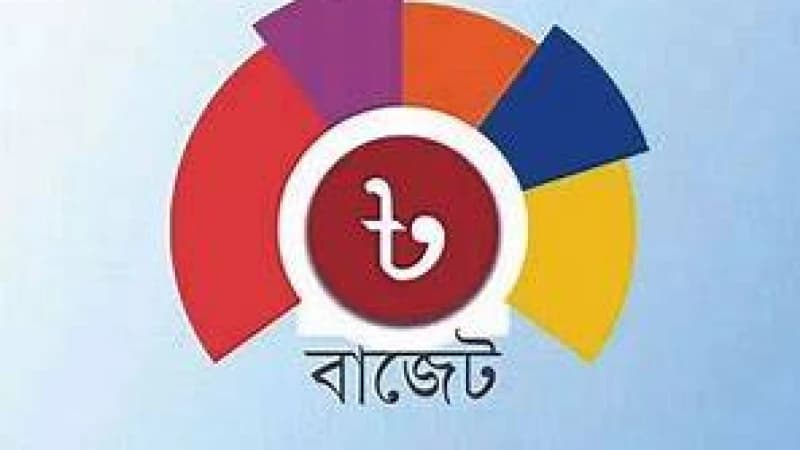 করের চাপ কঠিন সময়ে ব্যবসার