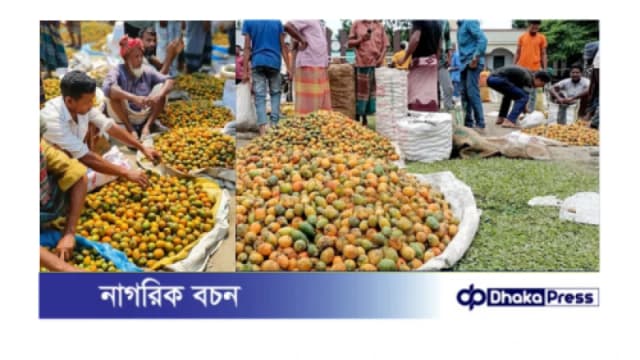 প্রতি মৌসুমে হাটবারে বিক্রি হয় কোটি টাকার সুপারি