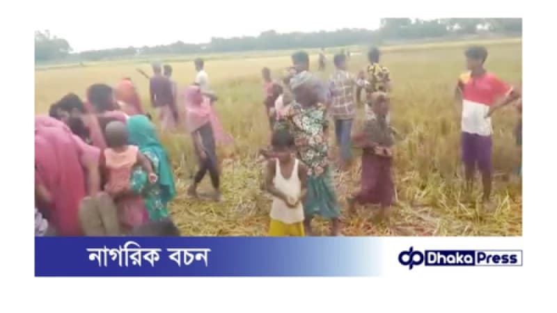 মুরাদনগরে ধান কাটতে গিয়ে বজ্রপাতে দুই কৃষকের মৃত্যু