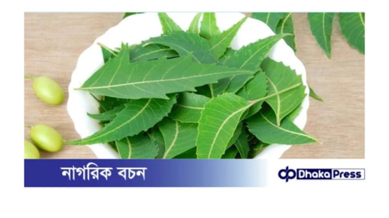 খালি পেটে নিম পাতা খাওয়ার অসাধারণ উপকারিতা