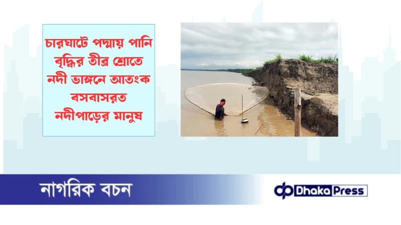 চারঘাটে পদ্মায় পানি বৃদ্ধির তীব্র শ্রোতে নদী ভাঙ্গনে আতংক বসবাসরত নদীপাড়ের মানুষ