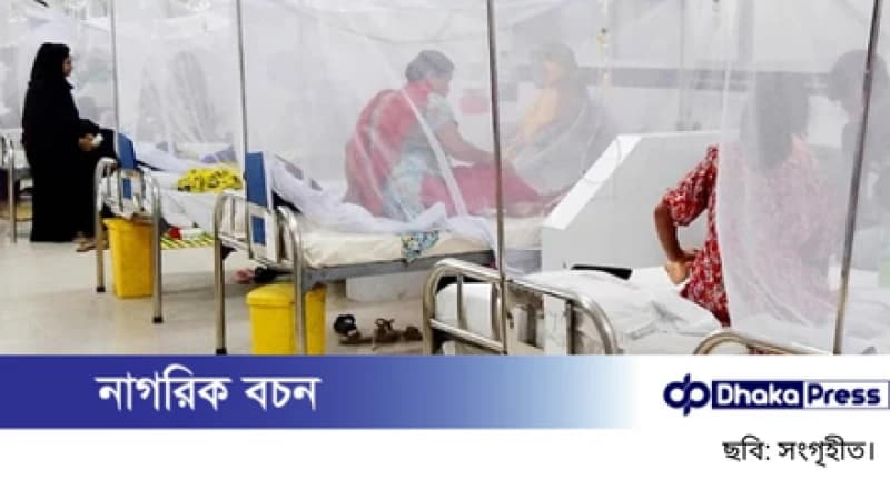 ডেঙ্গুতে একদিনে আরও তিনজনের মৃত্যু