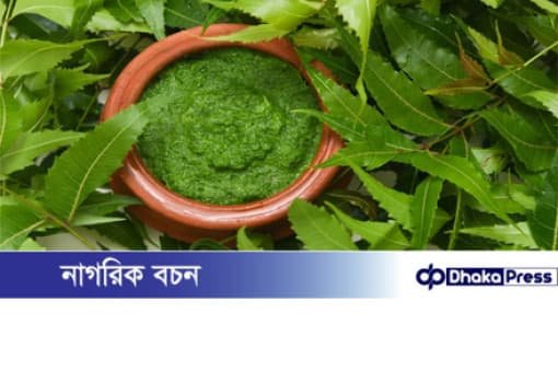 ত্বক ডিটক্সে প্রাকৃতিক সমাধান: নিম পাতা