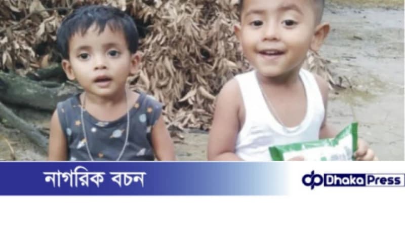 দেবিদ্বারে পুকুরের পানিতে ডুবে দুই শিশুর করুণ মৃত্যু