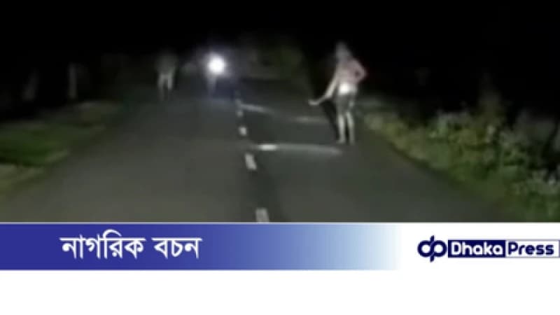গোমস্তাপুরে সড়কে গাছ ফেলে ডাকাতির চেষ্টা, ভিডিও ভাইরাল
