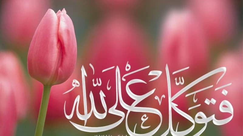 জান্নাতিদের বৈশিষ্ট্য পরিচ্ছন্ন অন্তর