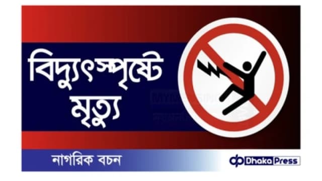 ময়মনসিংহে গাছের ডাল কাটতে গিয়ে বিদ্যুৎস্পৃষ্টে কিশ...
