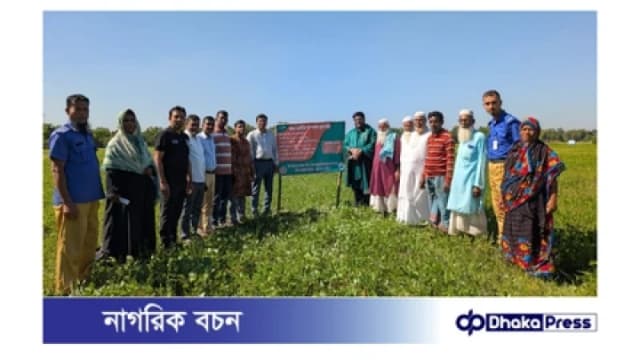 মুরাদনগরে কৃষকদের মাঝে বীজ বিতরণ ও মাসকলাই প্রদর্শনী পরিদর্শন