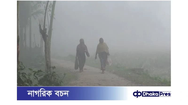কুড়িগ্রামে শীতের তীব্রতা বাড়ছে, ঘন কুয়াশায় ব্যাহত স্বাভাবিক জীবনযাত্রা