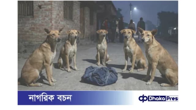 রাতের নিস্তব্ধতায় নবজাতককে রক্ষা করল কুকুরের দল