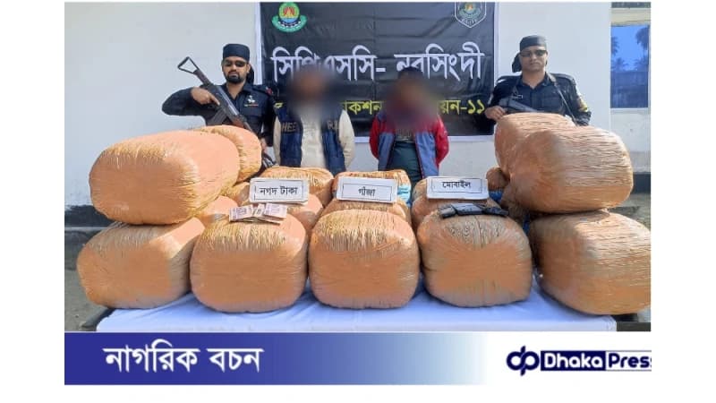 রায়পুরায় র‍্যাবের অভিযানে ১০০ কেজি গাঁজাসহ দুই মাদককারবারি আটক