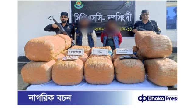 রায়পুরায় র‍্যাবের অভিযানে ১০০ কেজি গাঁজাসহ দুই মাদককারবারি আটক