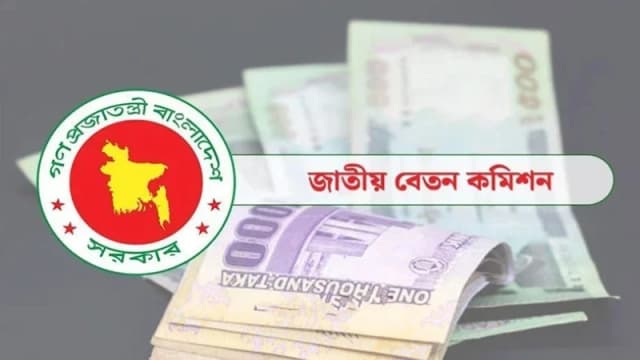 অন্তর্বর্তী সরকার নতুন পে-স্কেল বাস্তবায়ন করছে না: বিদ্যুৎ উপদেষ্টা