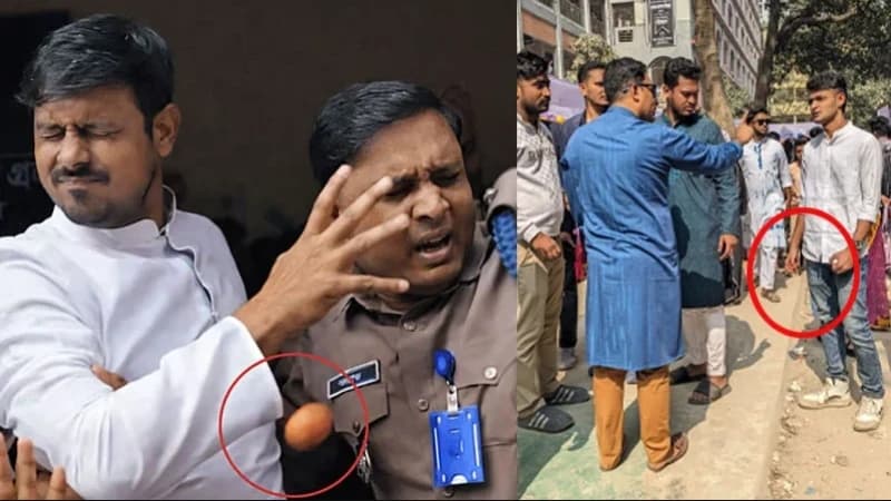 নাসীরুদ্দীন পাটওয়ারীর ওপর ডিম নিক্ষেপ; বিএনপির বিরুদ্ধে অভিযোগ এনসিপির