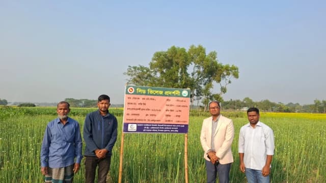 মুরাদনগরের কৃষিতে পেঁয়াজ বীজ উৎপাদনে নতুন দিগন্ত