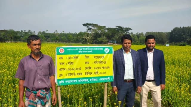 হাতিয়ার হরণী ইউনিয়নে সরিষা ও গমের বাম্পার ফলন; মাঠ...