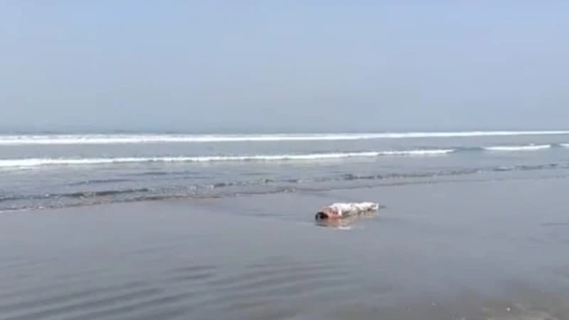 টেকনাফে সমুদ্র সৈকতে অজ্ঞাত নারীর লাশ উদ্ধার