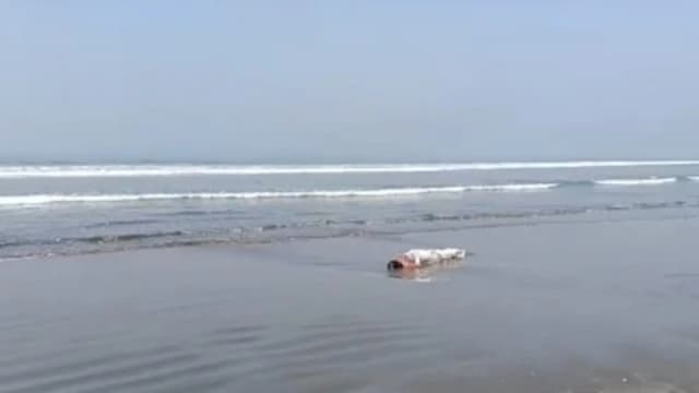 টেকনাফে সমুদ্র সৈকতে অজ্ঞাত নারী...