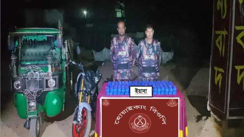 উখিয়ায় বিজিবির অভিযান, ৮ কোটি টাকার বেশি মূল্যের ২ লাখ ৭০ হাজার ইয়াবা উদ্ধার