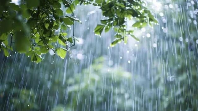 রাজধানী ঢাকাসহ দেশের চার বিভাগে হালকা বৃষ্টির সম্ভ...