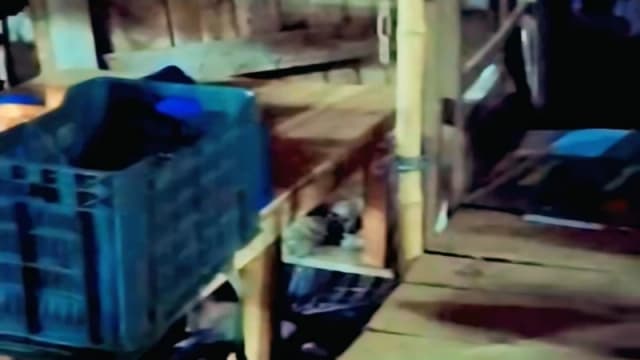 মুরাদনগরের কোম্পানীগঞ্জ বাজারের...