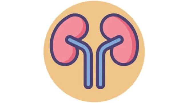 বিশ্ব কিডনি দিবস আজ