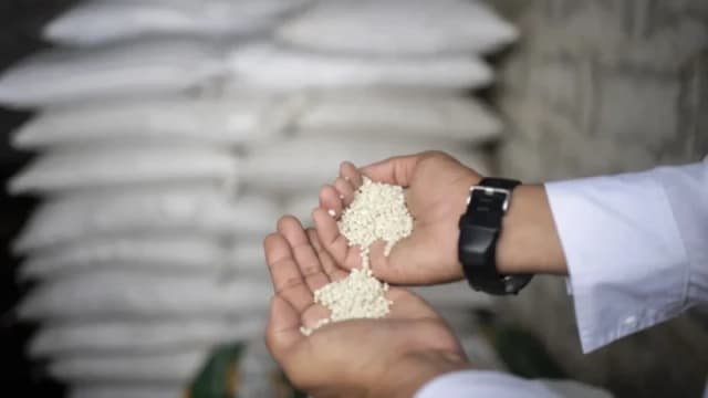 বিশ্বব্যাপী সারের মূল্য বৃদ্ধি,...